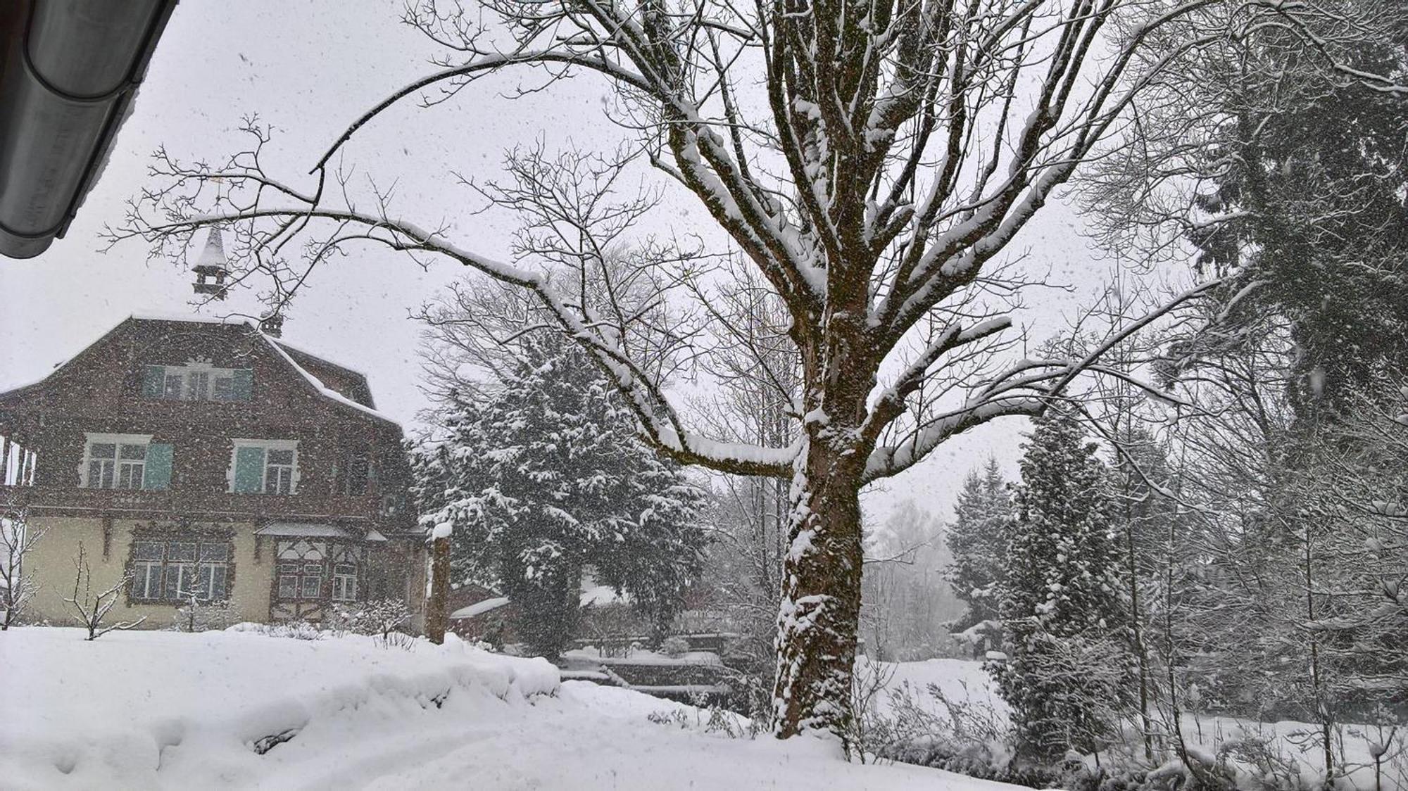 Wohnen Am See Villa Schroetter Direkt Am Traunsee Rindbach Exteriör bild