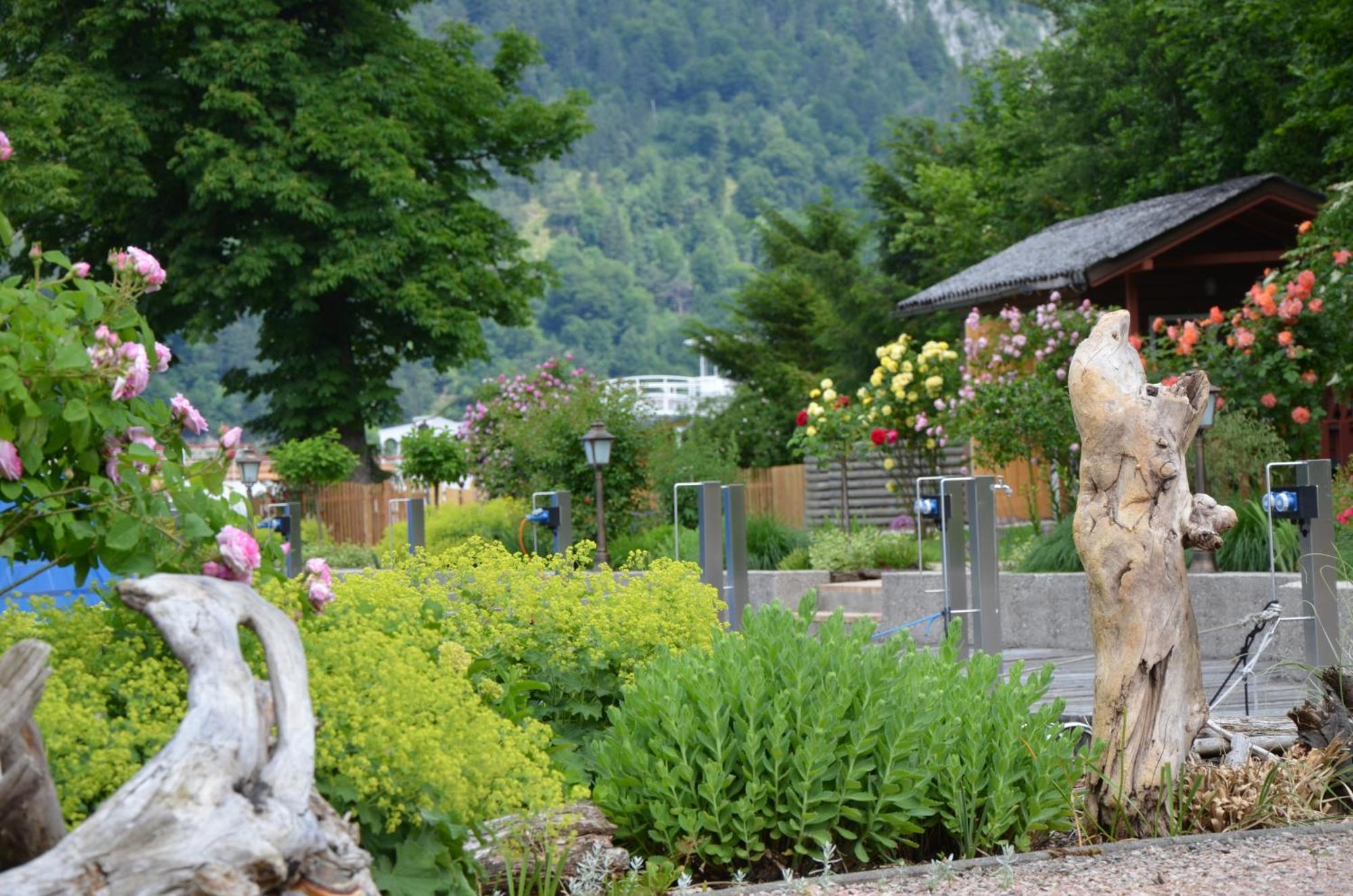 Wohnen Am See Villa Schroetter Direkt Am Traunsee Rindbach Exteriör bild